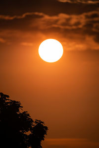 Silhouette tree against orange sky