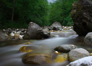 Stream flowing through rocks in forest