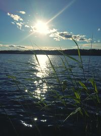 Scenic view of sunset over sea