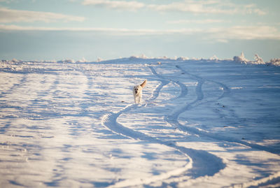 Scenic view of sea against sky during winter