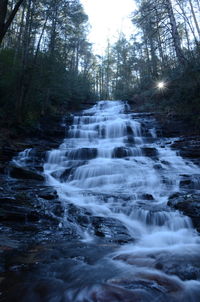 Scenic view of waterfall in forest