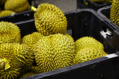 Fresh vibrant durian basket sold at a chinese market in singapore