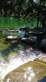 Reflection of trees in river