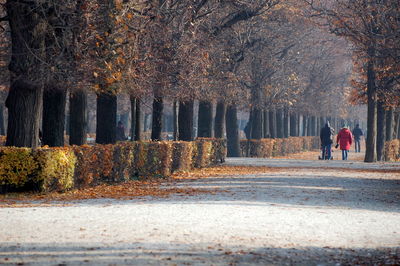 Men walking on road amidst trees during autumn