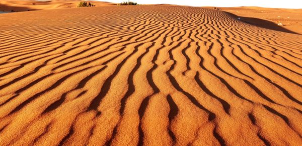 Sand dune in desert