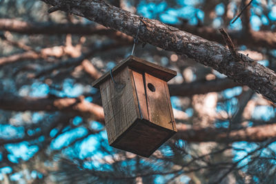 Low angle view of birdhouse on tree