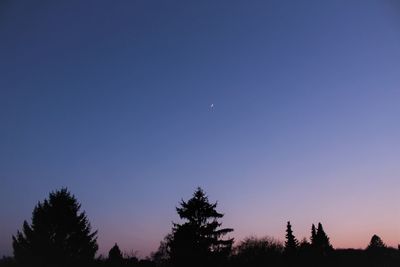 Silhouette trees against clear sky at night