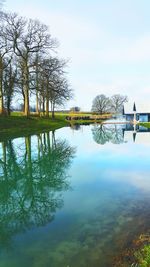 Reflection of trees in water