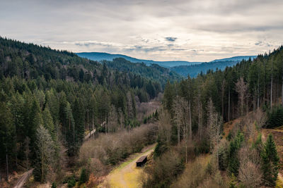 Landscape with trees and mountains in the black forest, germany