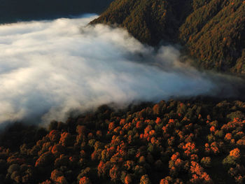 High angle view of trees on mountain against sky