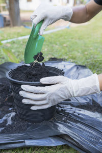 Cropped hand of person watering plants