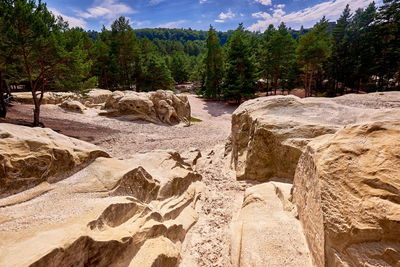 Stone wall by rocks in forest against sky