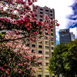 Low angle view of building against sky