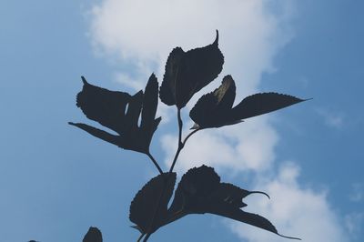 Low angle view of tree against sky