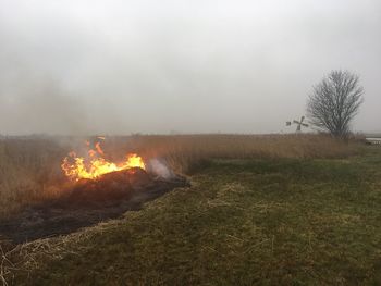 Bonfire on field against sky