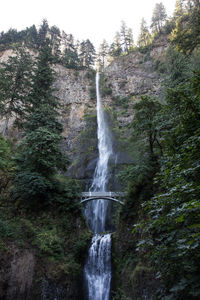 Close-up of waterfall in forest