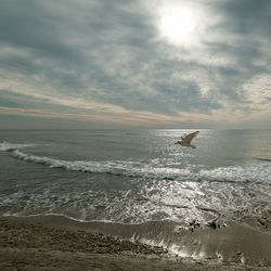 Seagull flying over sea against sky