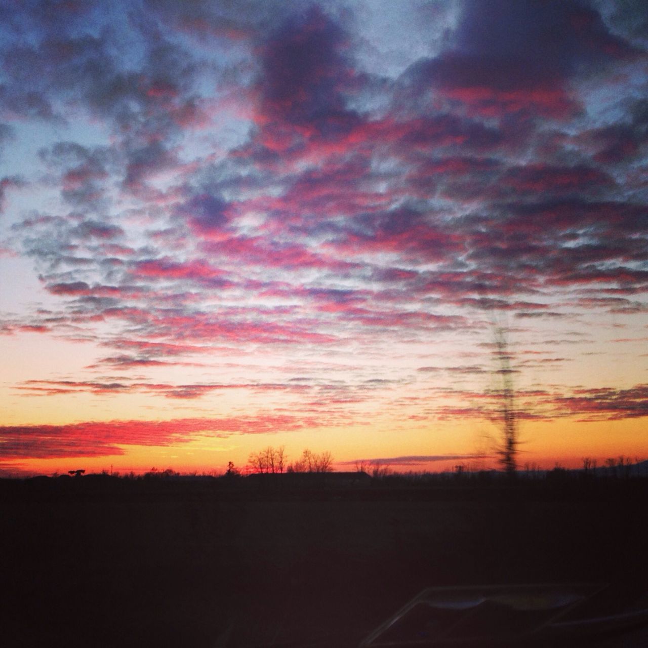 sunset, silhouette, sky, tranquil scene, scenics, tranquility, orange color, beauty in nature, landscape, cloud - sky, dramatic sky, nature, idyllic, field, cloud, dark, moody sky, cloudy, outdoors, tree