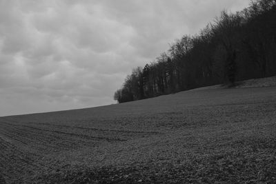 Trees on field against sky