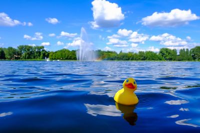 Swan floating on lake against blue sky