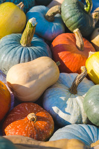 Close-up of pumpkins for sale at market stall