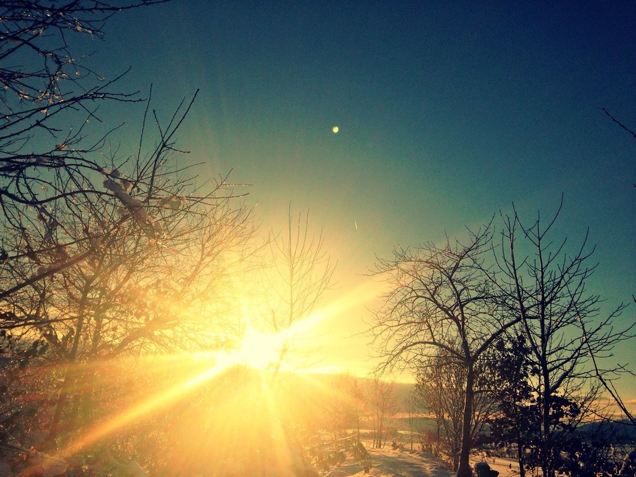 sun, bare tree, tree, lens flare, sunbeam, sunset, silhouette, sunlight, clear sky, branch, tranquility, beauty in nature, scenics, nature, tranquil scene, low angle view, bright, sky, back lit, idyllic