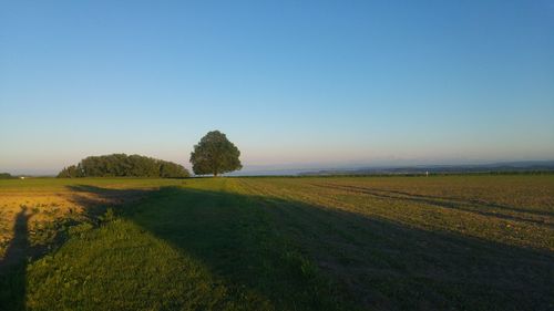 Scenic view of field against clear blue sky