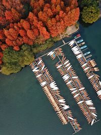 High angle view of river amidst trees