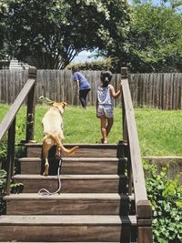 Rear view of girl with dog looking at mother standing by fence