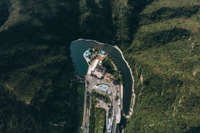 High angle view of chain amidst trees in forest