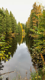 Scenic view of lake in forest against sky