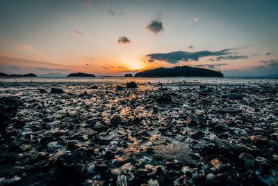 Scenic view of sea during sunset