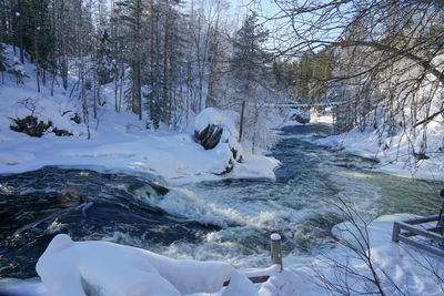 Scenic view of river amidst trees during winter