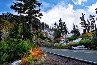 Road by trees against sky