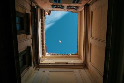 Directly below shot of bird flying over building