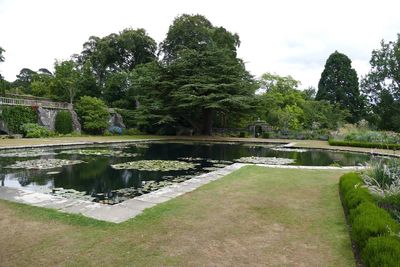 Pond in garden