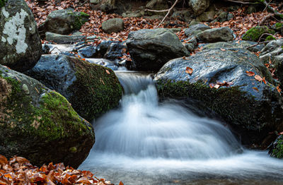 Waterfall in forest