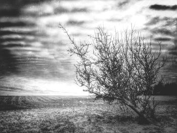 Scenic view of field against cloudy sky