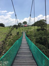 Footbridge amidst trees and plants against sky