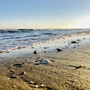 Scenic view of beach against clear sky