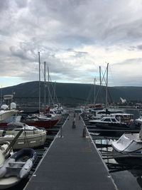 Boats moored at harbor