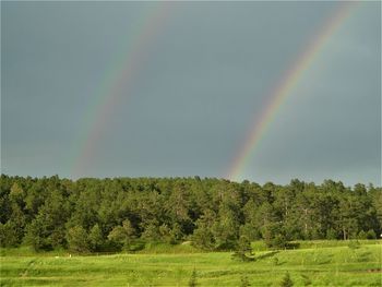 Scenic view of rainbow against sky