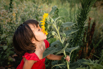 Little girl in red dress smelling sunflower in field