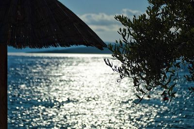 Close-up of tree by sea against sky