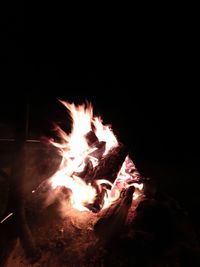 Close-up of bonfire at night