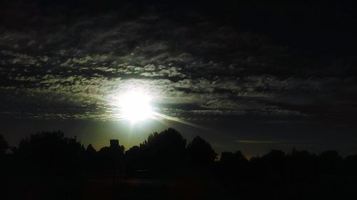 Silhouette of trees at sunset