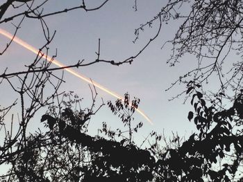 Low angle view of bare tree against sky