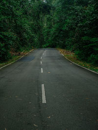 Empty road along trees