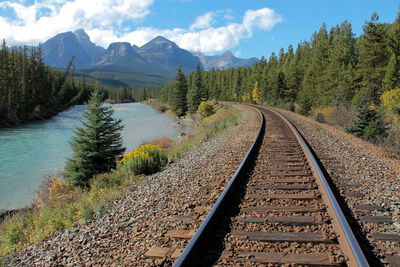 Railroad tracks amidst trees and plants against sky