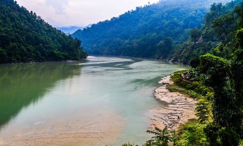 Scenic view of river in forest against sky